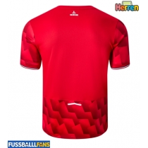 Lille OSC Heimtrikot 2025-26 Kurzarm
